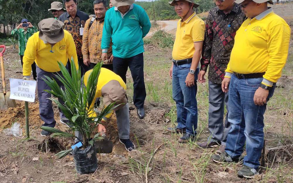 Wakil Bupati Sukamara: Program Peremajaan Sawit Rakyat akan Kuatkan Pondasi Ekonomi