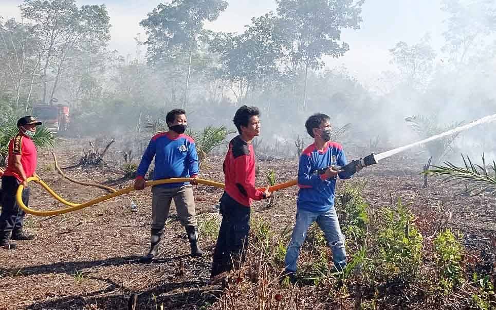 Kebakaran Lahan Muncul di Desa Murutuwu, Petugas Gerak Cepat Lakukan Pemadaman