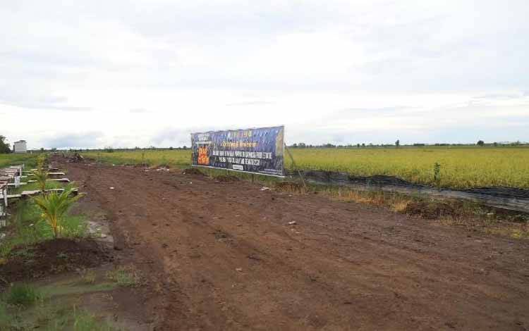 Riau Siapkan Food Estate Seluas 30 Ribu Hektare, Tunggu Survei Kementan