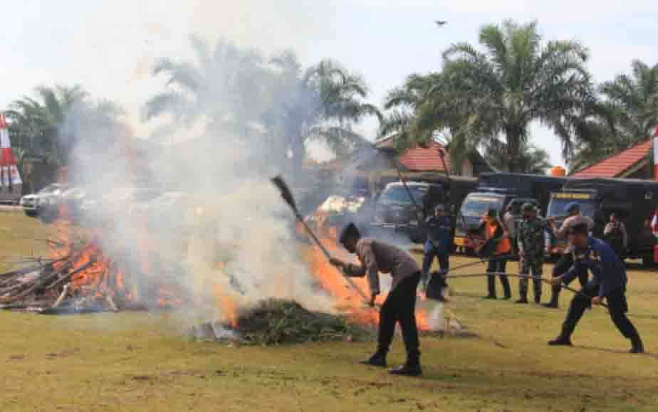 BPBD Kotim Dirikan 10 Pos Lapangan Antisipasi Karhutla