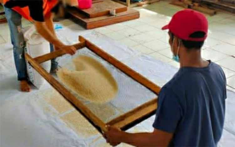 Hasil Panen Padi di Lahan Open Camp Rutan Kuala Kapuas Masuki Tahap Penampian dan Pengemasan Beras