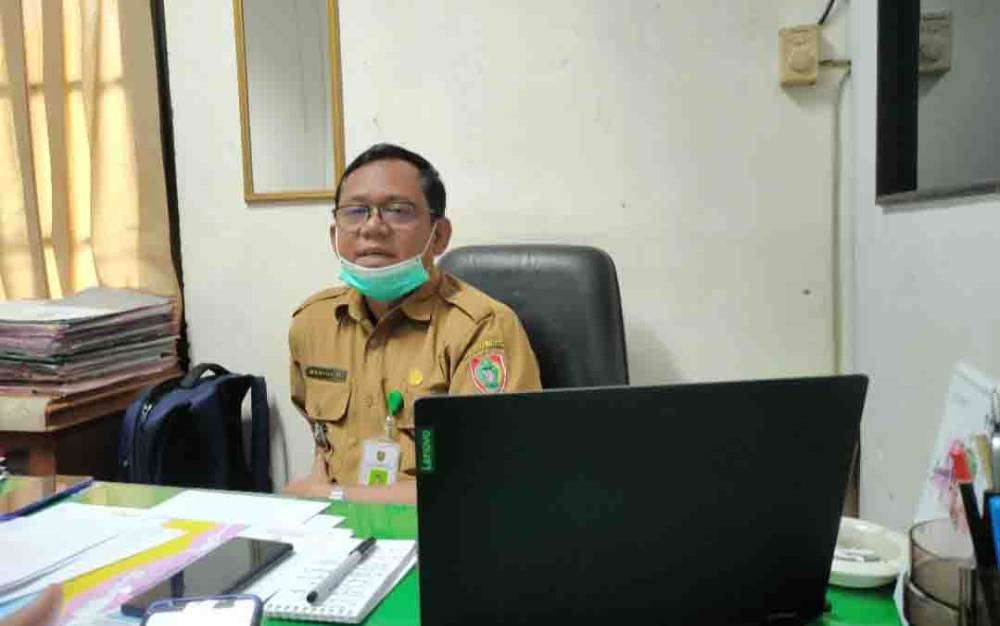 Begini Tahap Pemutihan Tata Kawasan Hutan