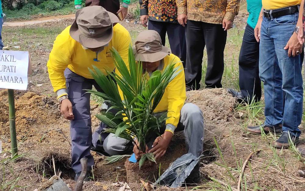 Bupati Sukamara Minta Program Peremajaan Sawit Rakyat Dikawal Dengan Baik