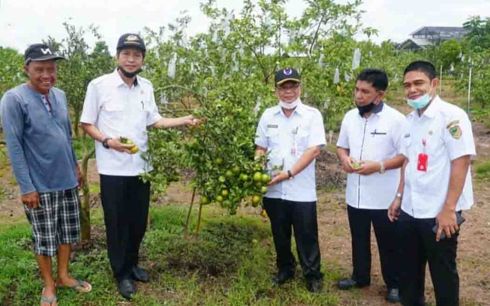 Sekda dan Pejabat Barito Utara Kunjungi Kawasan Pertanian Perkebunan Kalampangan