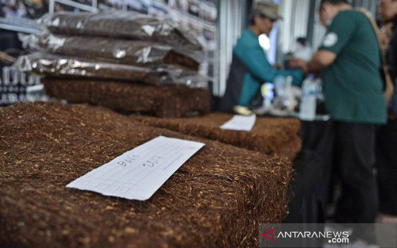 Kementan Usulkan Wacana Revisi PP 109/2012 Dipertimbangkan Kembali