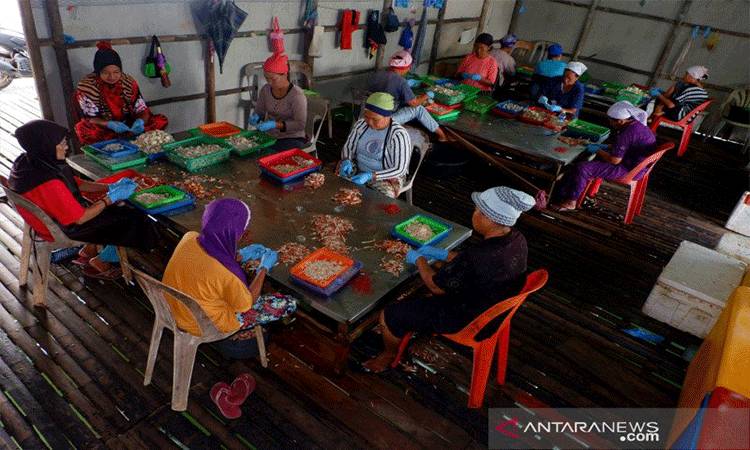 KemenPPPA: Data Terpilah Gender Penting Agar Pembangunan Tepat Sasaran