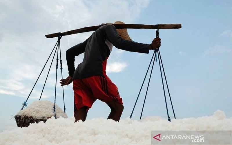 Anggota DPR Ingatkan Garam di Rakyat Banyak Belum Terserap