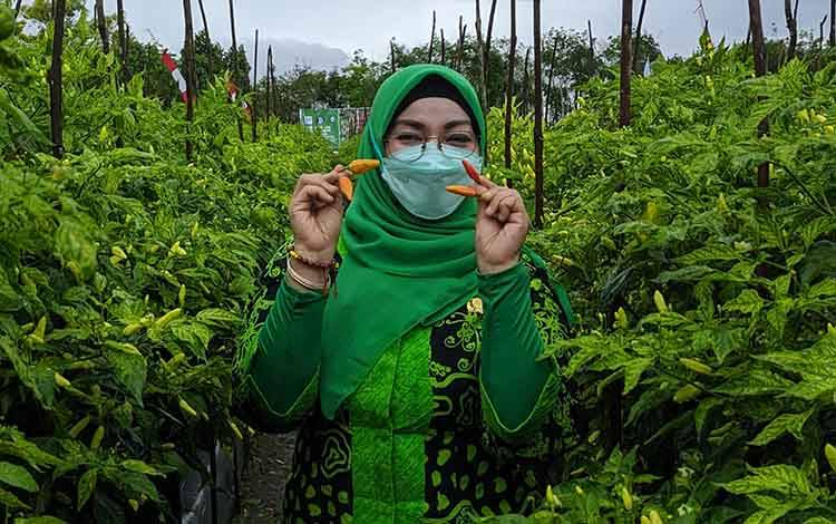 Pertanian Jadi Sektor Andalan Kotim untuk Menjaga Kestabilan Pangan