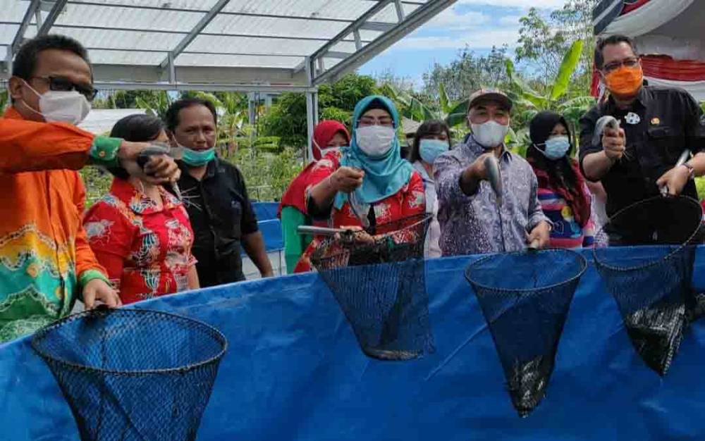 Dirjen Perikanan Budidaya RI Penen Lele KUB Katoni Lestari Jaya Raya