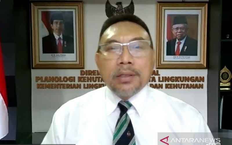 Kementerian LHK Tetapkan Luas PIPPIB Hutan Alam dan Gambug Jadi 66,182 Juta Hektare