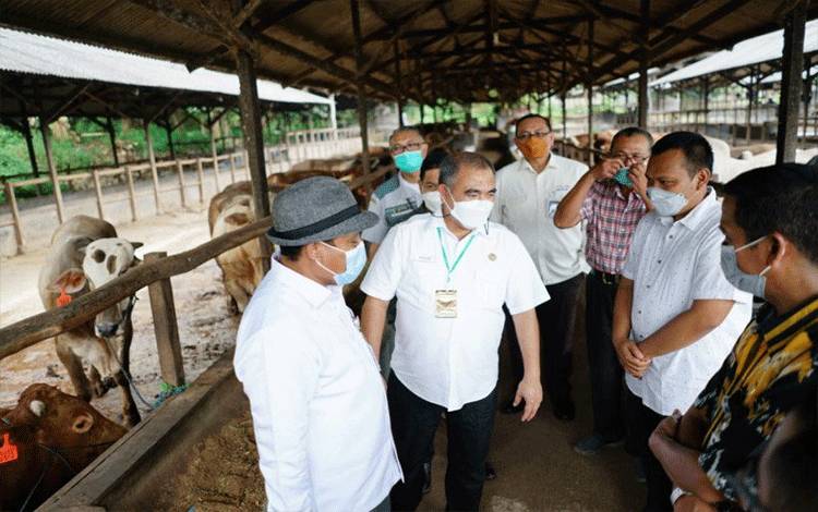 Kementan Pastikan Stok Daging Sapi Nasional Selama Ramadhan Cukup