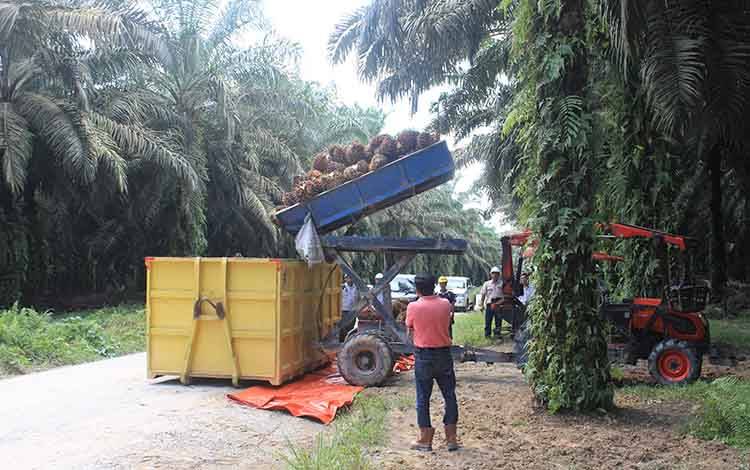 Bantuan BPDPKS untuk Perkebunan Sawit Selalu Sesuaikan dengan Perkembangan Pasar CPO