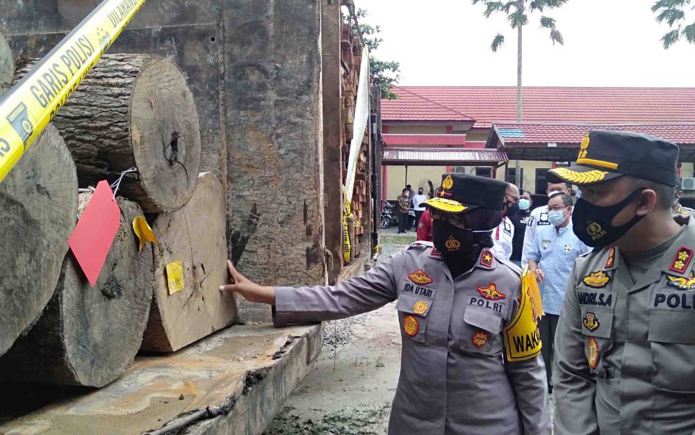 Ini Barang Bukti Diamankan dari Pengungkapan Ilegal Loging di Katingan