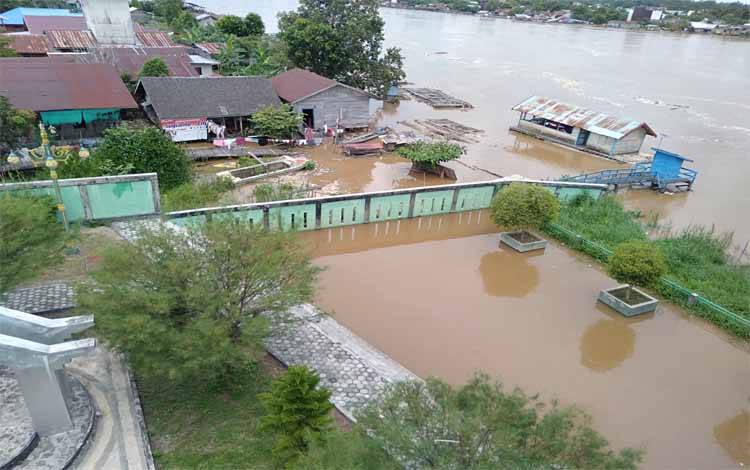 Kebun Warga Terendam Dampak Sungai Katingan Meluap