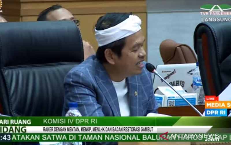 DPR Minta Penerapan Ketahanan Pangan Tetap Jaga Kelestarian Hutan