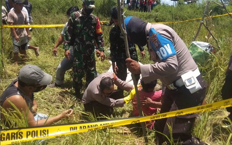 Diduga Diserang Lebah,  IRT Warga Telok Katingan Ini Tewas