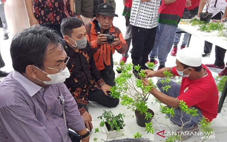Dirjen Rehabilitasi Sosial: Loka Rehabilitasi Berperan Multifungsi