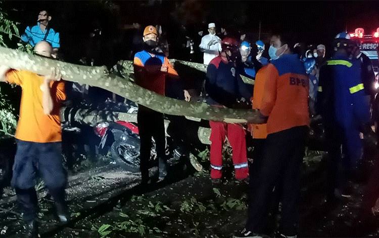 Pohon Tumbang di Hutan Kota Kuala Kapuas Timpa 2 Warga Hingga Harus Dilarikan ke Rumah Sakit