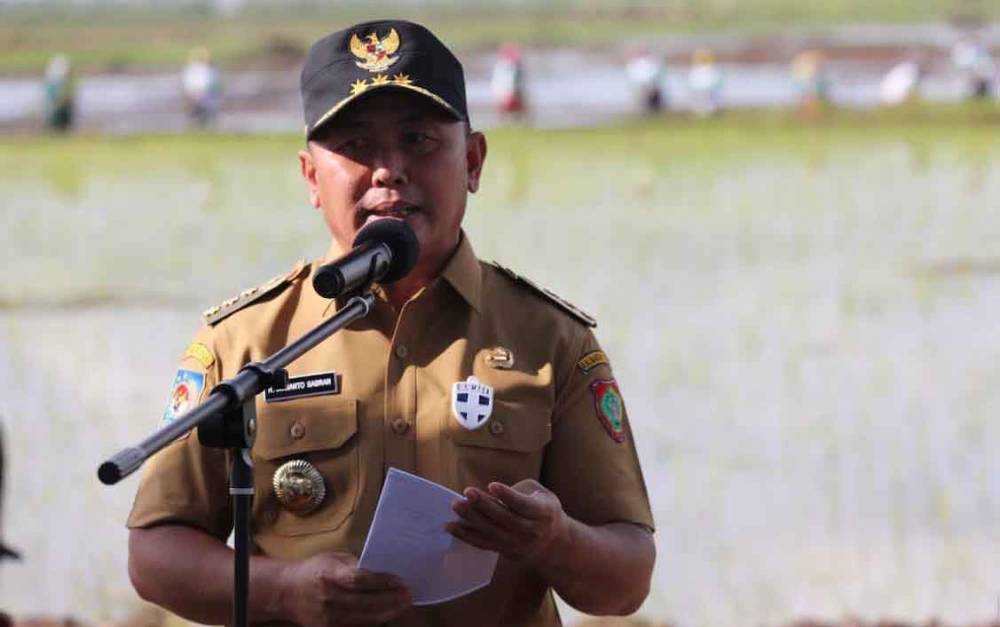 Gubernur Kalteng Klaim 98,8 Persen Lahan Food Estate Selesai Tanam