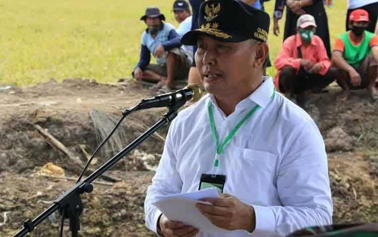 Ini Kendala Dalam Pelaksanaan Pengolahan Lahan dan Penanaman Food Estate Menurut Gubernur Kalteng