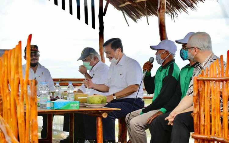 Luhut Sebut Lumbung Pangan Kalteng Beri Banyak Manfaat