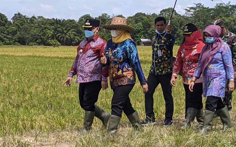 Kelurahan Kota Besi Hulu Kembangkan Pertanian Brokoli