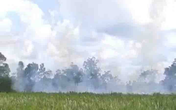 Polisi Selidiki Kebakaran Lahan di Lingkar Selatan Sampit