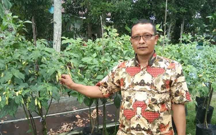 Pengawasan Harga Bahan Pokok Perlu Ditingkatkan