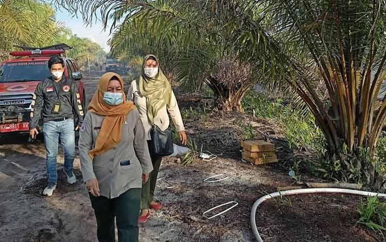 Kebakaran Lahan di Palangka Raya Diduga Disengaja