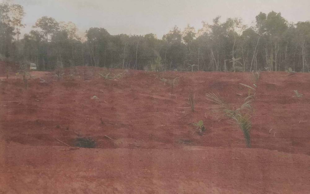 Warga Khawatir Kebun dan Permukiman Dibabat Perusahaan Tambang Bauksit