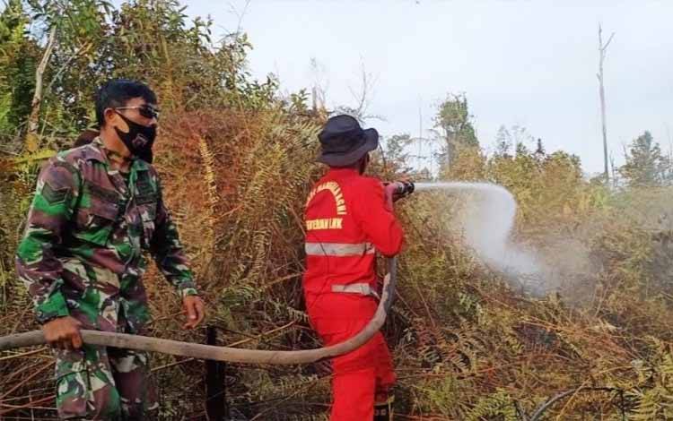 Lahan Terbakar di Kalteng Sudah Mencapai 181,95 Ha