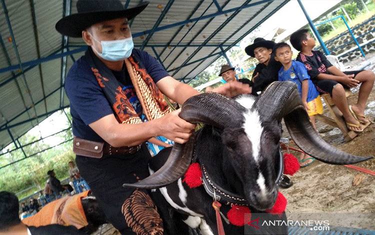 Hotman Paris,?Harganya di Pamidangan Garut Ditaksir Rp100 Juta