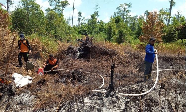 Tiga Kabupaten di Kalteng Sudah Menetapkan Status Siaga Darurat Karhutla
