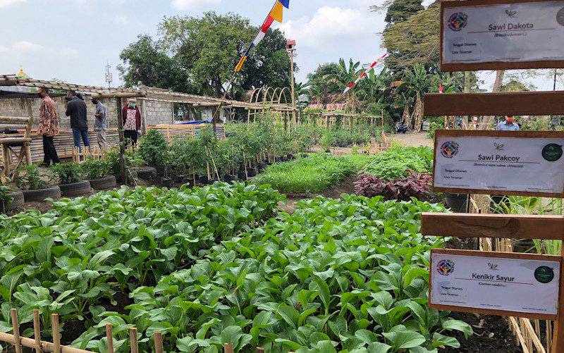 Food Estate Yogyakarta Dioptimalkan untuk Penanganan Stunting hingga Wisata