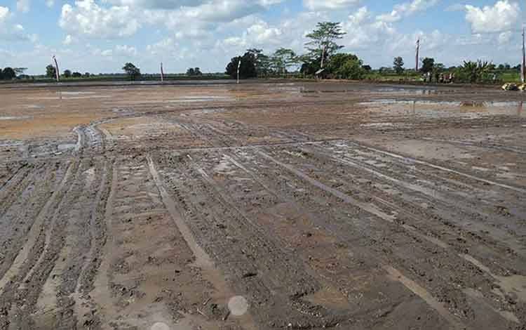 Dishut Kalteng: Food Estate Berada di Kawasan APL