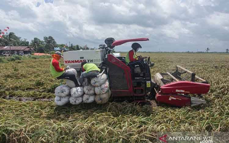 Sekda Pulang Pisau Hadiri Launching Aplikasi Simalsintan
