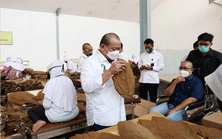 Ketua DPD Minta Pemerintah Perhatikan Nasib Petani Tembakau