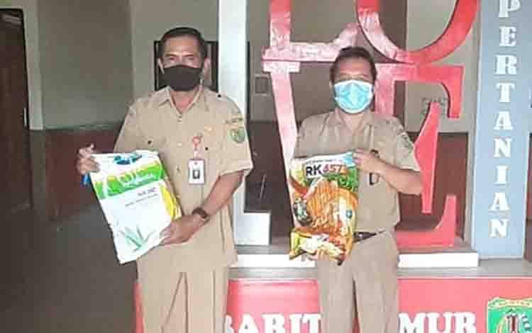 Barito Timur Kembangkan Jagung Hibrida di Lahan 1.000 Hektare