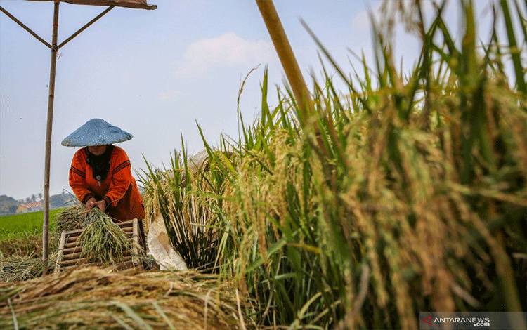 Peningkatan Kesejahteraan Petani dan Nelayan Bangun Kedaulatan Pangan