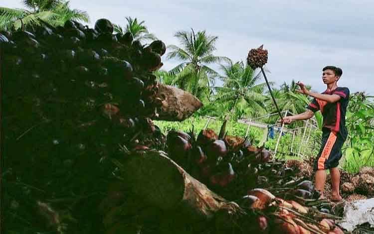 Ketua GPPI Kotim Sebutkan 70 Persen Perusahaan Sawit Sudah Bayarkan THR