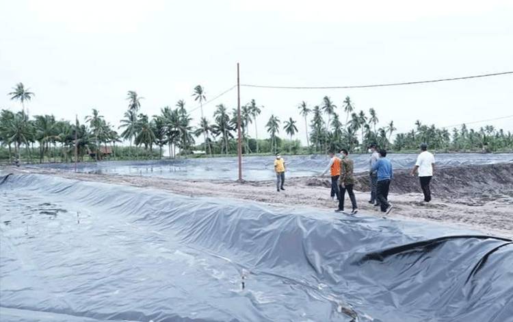 700 Hektare Tambak Masyarakat di Sukamara Tidak Produktif