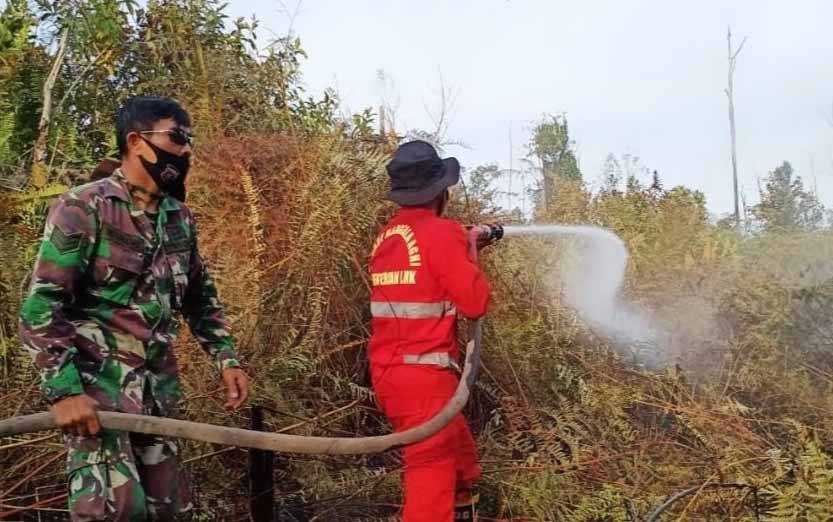 10 Titik Api Baru Terpantau di Kalimantan Tengah