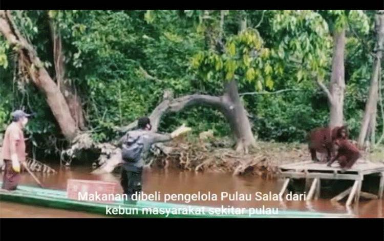 VIDEO: Perjalanan Edukasi di Pulau Salat