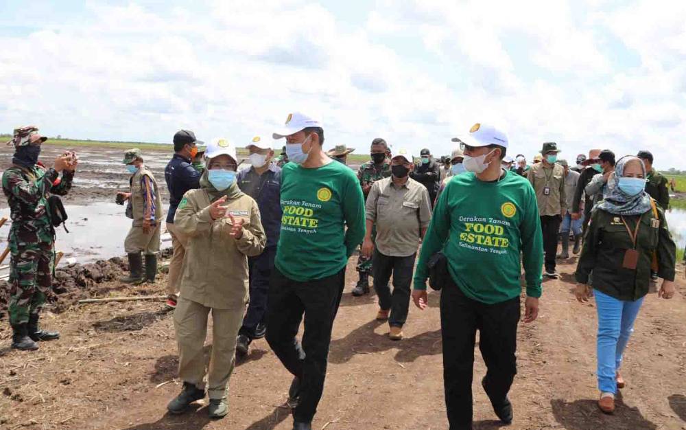 Sekjen Kementerian Pertanian Sebut Program Food Estate di Kalteng Sudah Berhasil