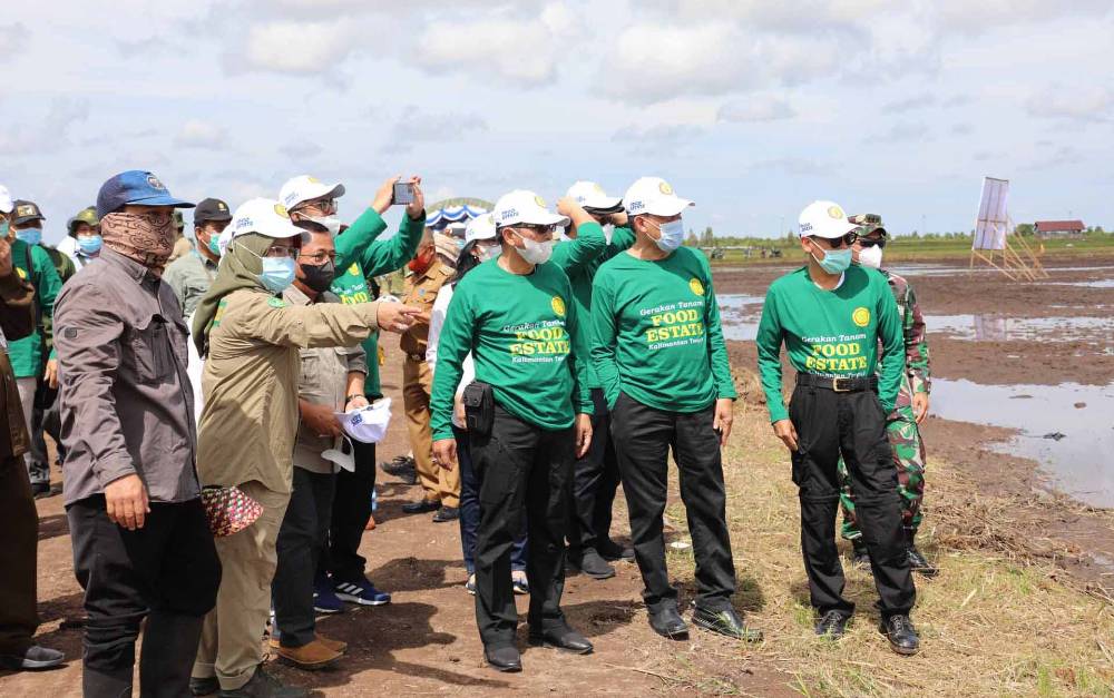 Tanam Food Estate Diharapkan Tuntas Juni Mendatang