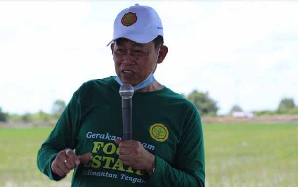 Perlu Strategi Matang Optimalkan Food Estate Dadahup