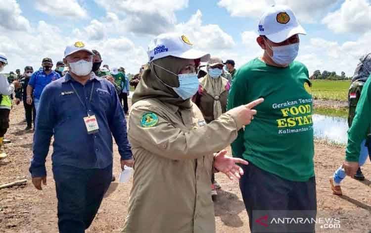 Kementan Jadikan Lumbung Pangan Kalteng Contoh Bagi Provinsi Lain
