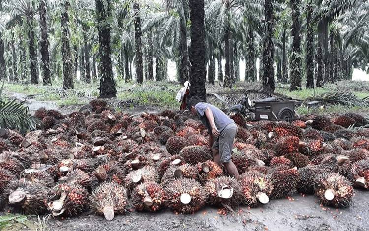 Indonesia Berhasil Catat Surplus Perdagangan dengan Swiss
