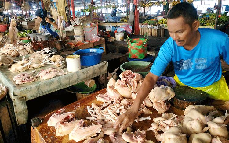 Harga Daging Ayam Broiler di Pangkalan Bun Rp40.000
