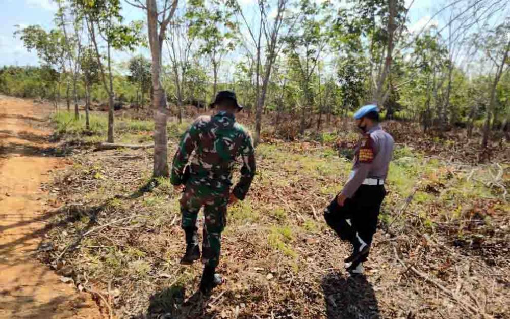 Antisipasi Karhutla, Polsek Danau Sembuluh Cek Lahan Rawan Terbakar di Desa Terawan